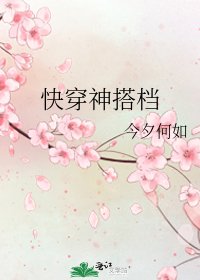 快穿神搭档